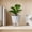 💖Gray_New#197, variant on Self Watering Planter Pot with Reservoir, Modern Geometric Plastic Flower Pot for Indoor Houseplants, Succulents, Herbs, Office Decor