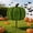 Green E, variant on Realistic Black Orange Maple Leaf Halloween Decorations, Spooky Hanging Halloween Wreath for Banister Fence Door Frame, 78.7in Mixed-Color Party Halloween Decor for Indoor Outdoor