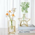 thumbnail image 4 of Porte-plante 2Pcs/Set Cadeau Géométrique Chic Star Forme Support Verre Plante Titulaire, 4 of 5