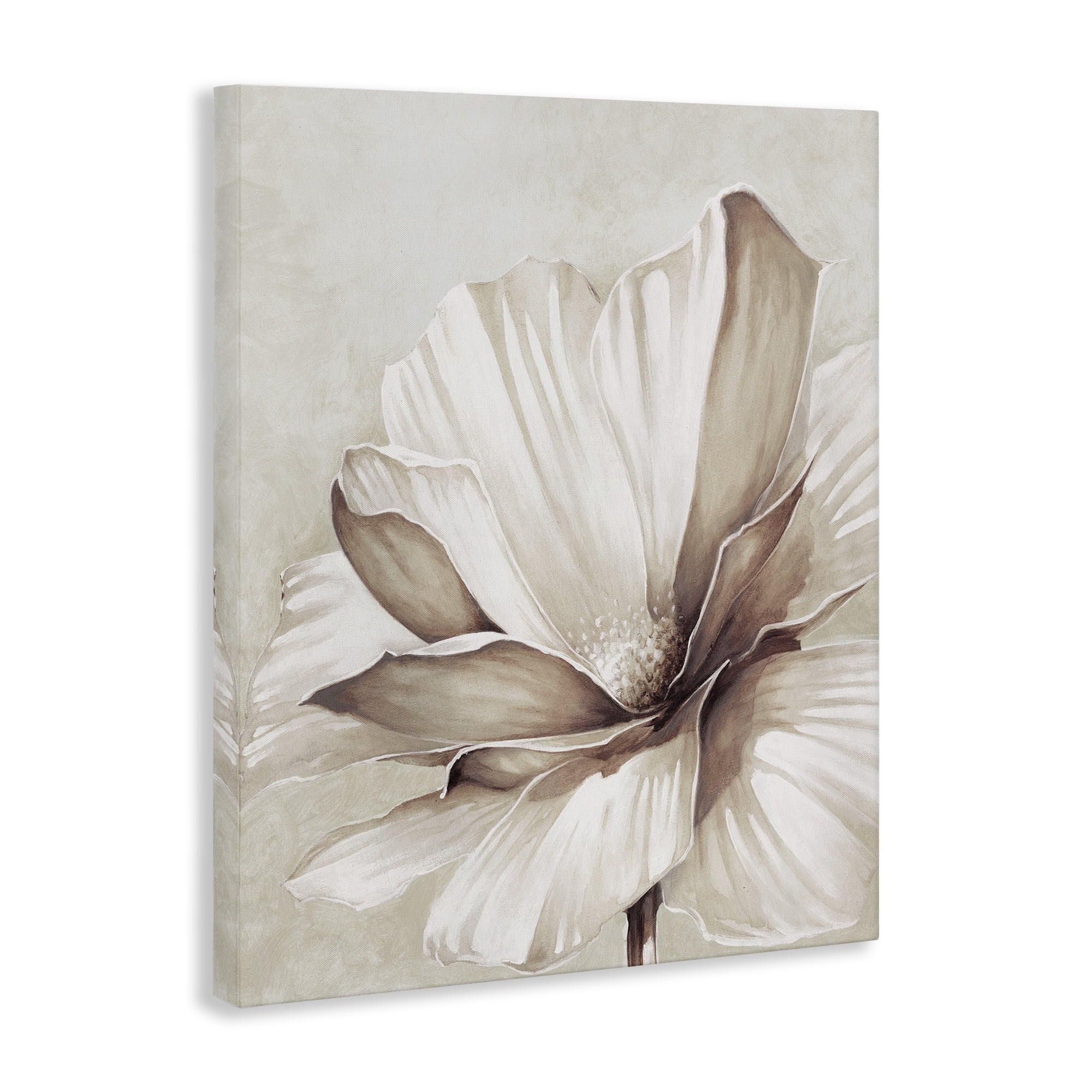 Stupell Industries White Flower Petals Botanical & Floral Painting Gallery Wrapped Canvas Art Print Wall Art, 16 x 20
