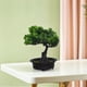 thumbnail image 5 of Árboles bonsái artificiales de estilo enebro japonés para decoración del hogar, pequeños árboles artificiales en maceta para decoración de interiores., 5 of 7