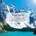 thumbnail image 3 of Assainisseur d'air LITTLE TREES True North 6-Pack, 3 of 8