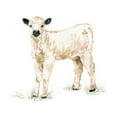 thumbnail image 2 of Robinson, Carol 15x15 White Modern Wood Framed Museum Art Print Titled - Baby Calf, 2 of 4