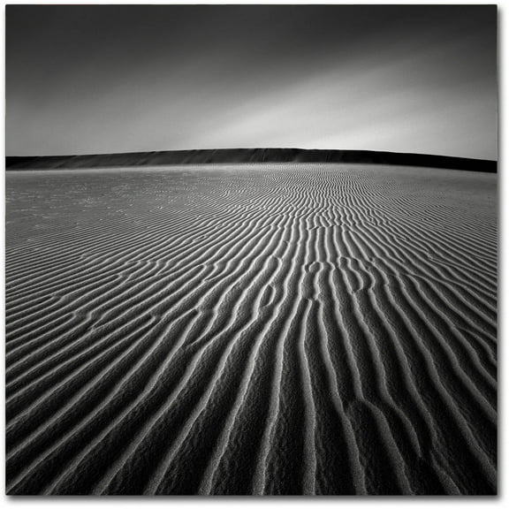 Trademark Fine Art Dave MacVicar 'Ripples' 14 x 14 (ALI0875-C1414GG)