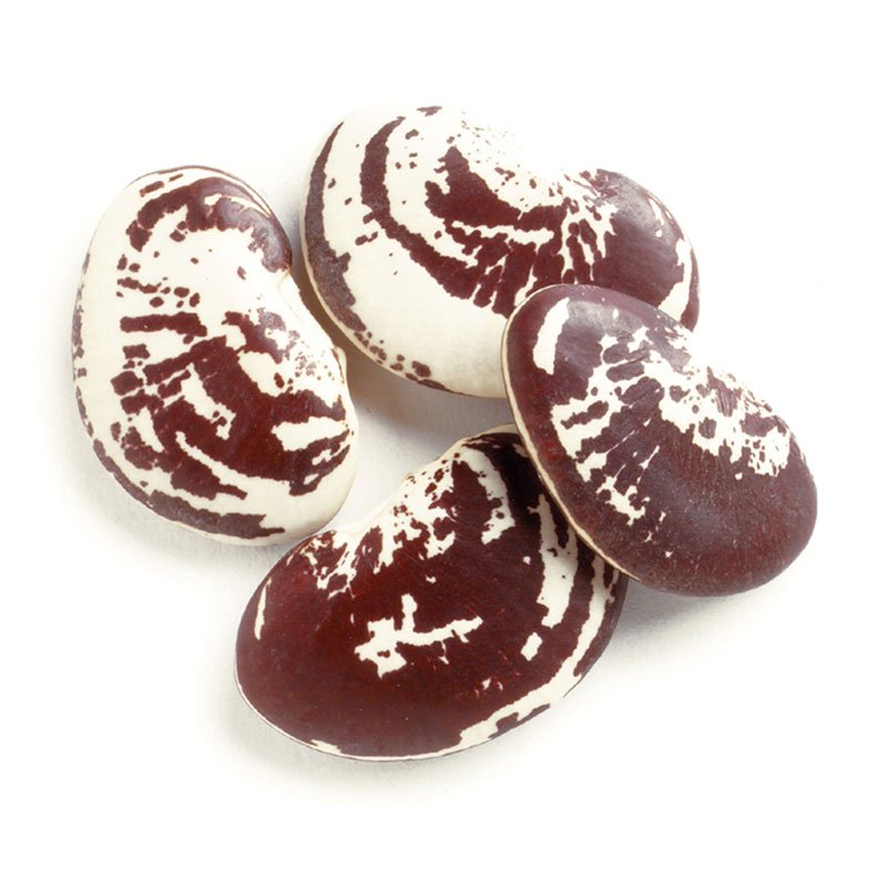 Christmas Lima Beans, 10 Lb Box