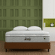 thumbnail image 2 of Sealy | Phosturepedic Tecnology Colchon Queen Size Ortopédico, 2 of 5