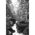 thumbnail image 2 of Deiter, Lori 11x14 White Modern Wood Framed Museum Art Print Titled - Avalanche Trail, 2 of 4