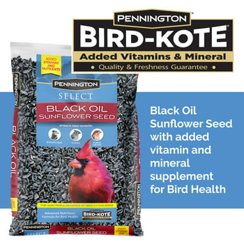 Pennington Select Black Oil Sunflower Seed Wild Bird Feed, 10 lb. Bag, New