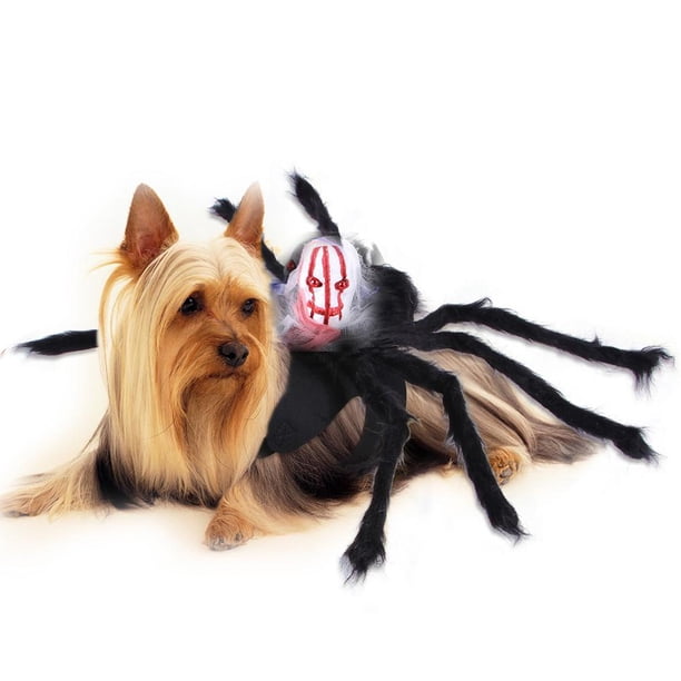 De Halloween Ajustable Mascota Halloween Pecho Espalda Simulación Araña Transformación Disfraz sonducket HA044312-06