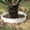 White, variant on Gqtwoy 10Pcs Garden Edge Border Decoration, Garden Fence, Flower Bed Border, Suitable for Walkways and Courtyards, Durable Plastic, Adjustable Landscape Edging, Decorative Garden Fencing