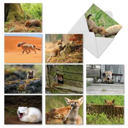 M6480TYG M6480TYG Little Foxes' 10 Assorted Thank You Note Cards Featuring Frisky Baby Foxes Playing in Their Natural Surroundings with Envelopes by The Best Card