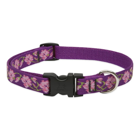 LupinePet Originals 3/4" Rose Garden 13-22" Adjustable Collar for Medium and Larger Dogs