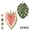 W/R-2pcs, variant on Leaf Shaped Hand Towel with Hanging Loop, 2 Pack Monstera Leaf Cute Green Plant Pattern Coral Fleece Finger Towels, Soft and Lint-Free Decorative Hand Towel for Kitchen Bathroom (Multicolor-4pcs)