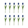thumbnail image 2 of 10 PCS Real Touch Artificial Tulip Flowers 13 Inch PU Tulips Stems, Multicolor Spring Bouquet for Easter, Mother's Day, Valentine's Decor, Wedding, and Home Floral Arrangements, 2 of 5