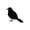 #04924260612002A1 A 1PC, variant on Realistic Black Crows - Small Feathered Stuffed Animals Halloween Decorations Gothic Props for Party Indoor Outdoor - 10 Options (A 1PC)