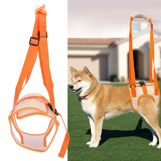 01 02 015 Arnés de Asistencia para Perroscinturón de Soporte para Patas traseras para PerrosTela de Malla de dise?o ergonómico para Perros con Lesiones y Perros discapacitadosS Khall 2.11021E+12