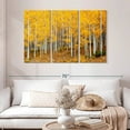 thumbnail image 2 of Elephant Stock Colorado Aspen Forest Wall Art - Horizontal Multi Panel Canvas - 3 Pieceliving Room Wall Decor - Photography Nature Multi Panel - Orange And Brown Decor - 50" x 32", 2 of 8