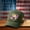 Embroidery Style-C, variant on 250th Anniversary Usa Hat The Statue Of Liberty &The Bald Eagle Printed United States 250th Anniversary Hat Usa 250th Anniversary Hat 250th Anniversary Hat Us 250th Anniversary Hat