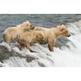 thumbnail image 2 of Parker, Susann 14x11 Gold Ornate Wood Framed with Double Matting Museum Art Print Titled - Day at the Falls, 2 of 4