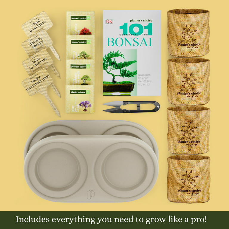 Bonsai Starter Kit - DIY Bonsai Growing Gift - Garden Hobbies for Adults, Women & Men : 4 Unique Tree Seeds, Soil, Pots, Pruning Shears, Plant