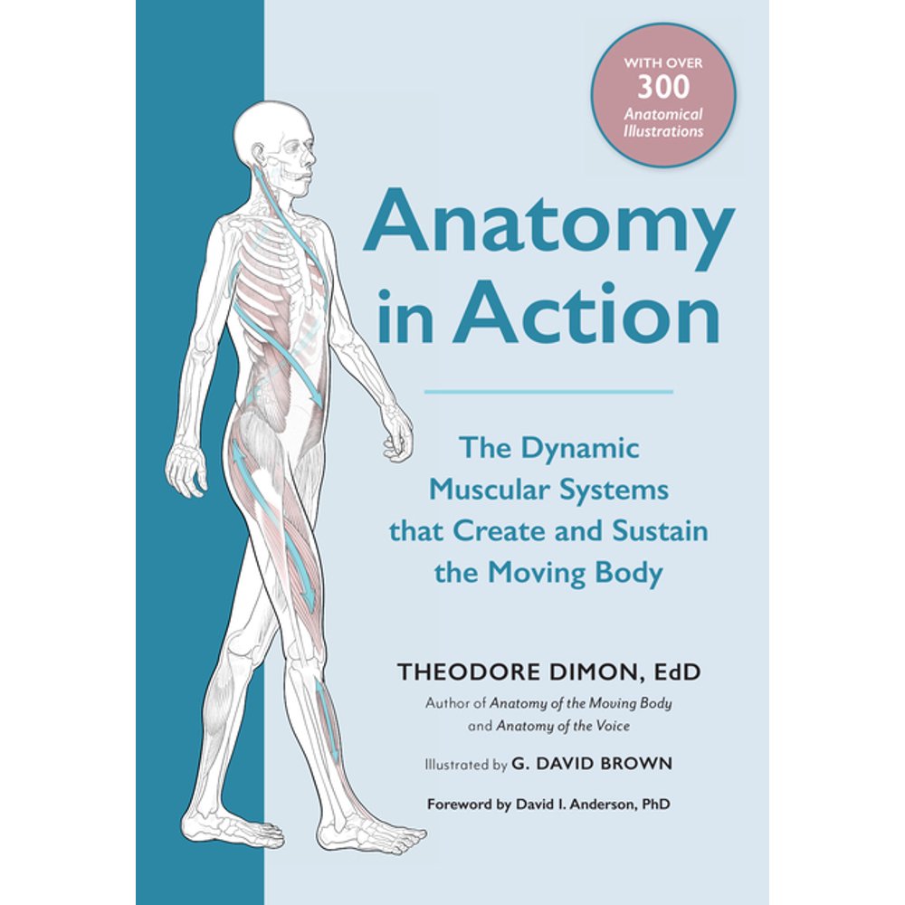 Anatomy in Action : The Dynamic Muscular Systems That Create and