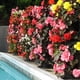 thumbnail image 3 of Torre De Flores Montada En La Pared, Contenedor De Flores, Maceta Para Cultivo De Plantas, Torre Vertical, Macetas, Accesorios De Decoración Para El Hogar Inevent HA035282-00, 3 of 6