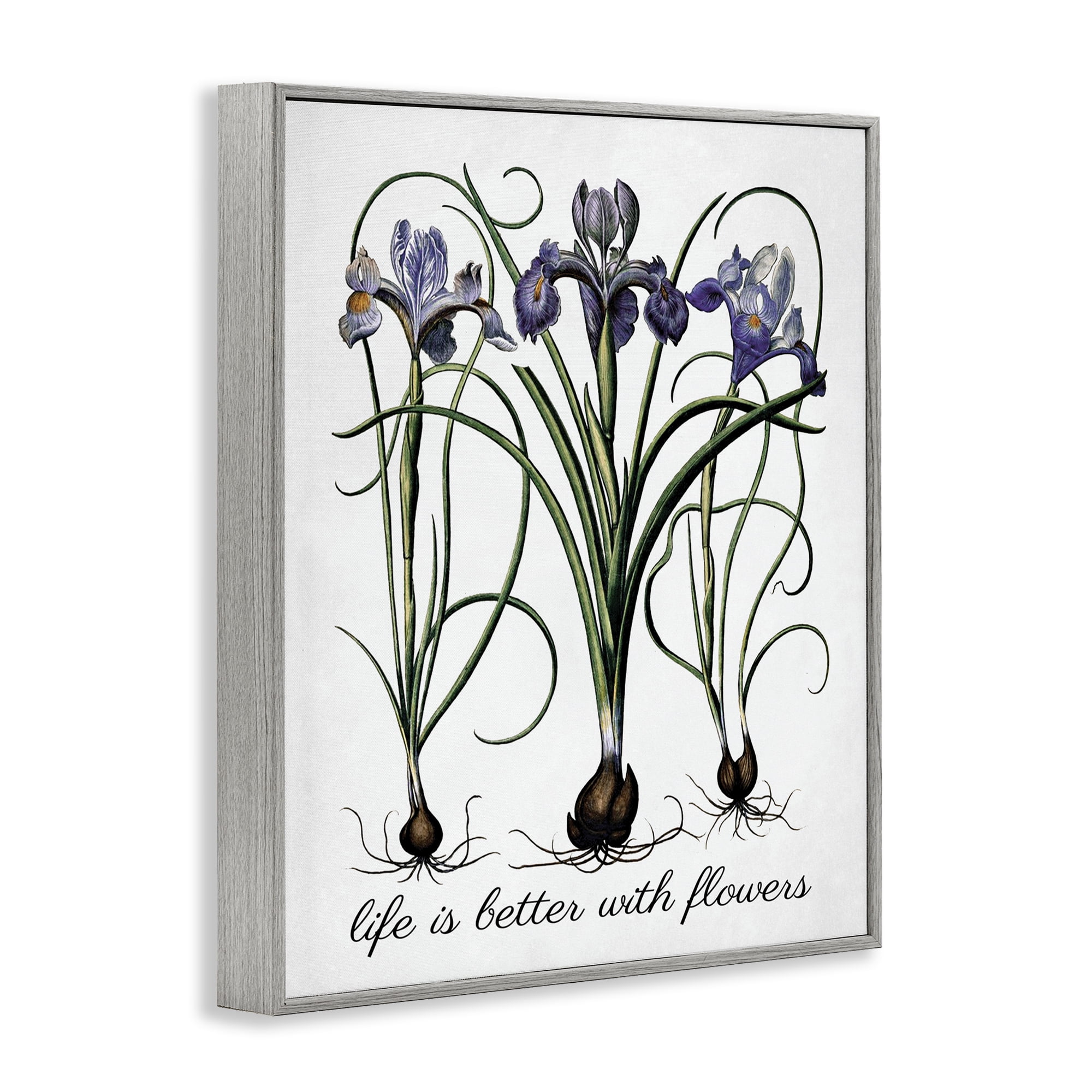 Stupell Industries Better With Flowers Botanical & Floral Painting Gray Framed Art Print Wall Art, 16 x 20