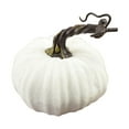 thumbnail image 1 of TUWABEII 1 Pc Velvet Pumpkins Decor Super Soft Stuffed With Exquisite, 1 of 2