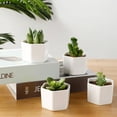 thumbnail image 5 of Groomer 2" x 2.75" x 2.75" Hexagon Modern White Plant Pot, 5 of 6