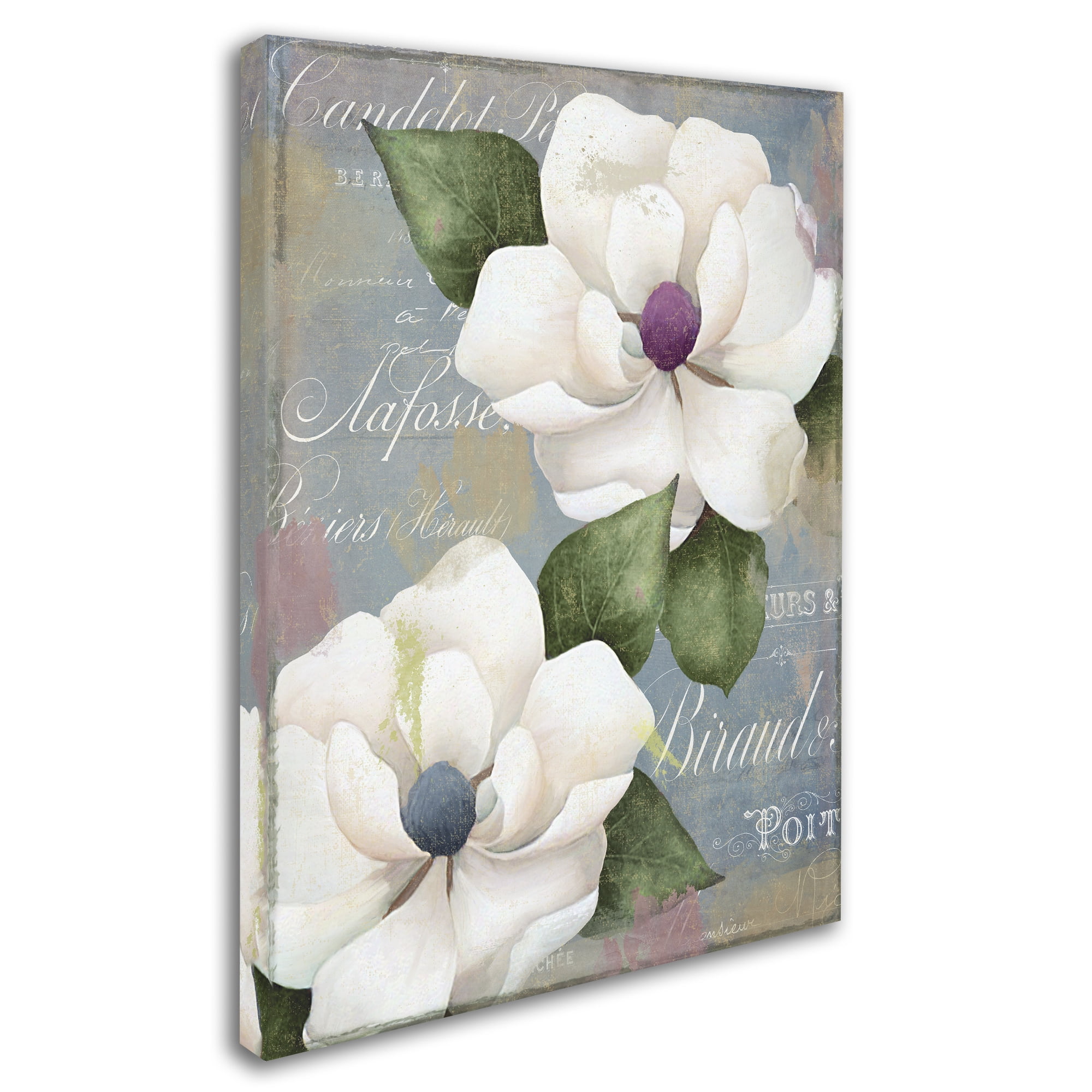 Trademark Fine Art "Southern Charms" Canvas Art by Color Bakery