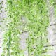 thumbnail image 4 of KAIYANG 2 piezas de plantas de vid colgantes artificiales: guirnalda de plantas colgantes falsas para interior y exterior (blancas), 4 of 5
