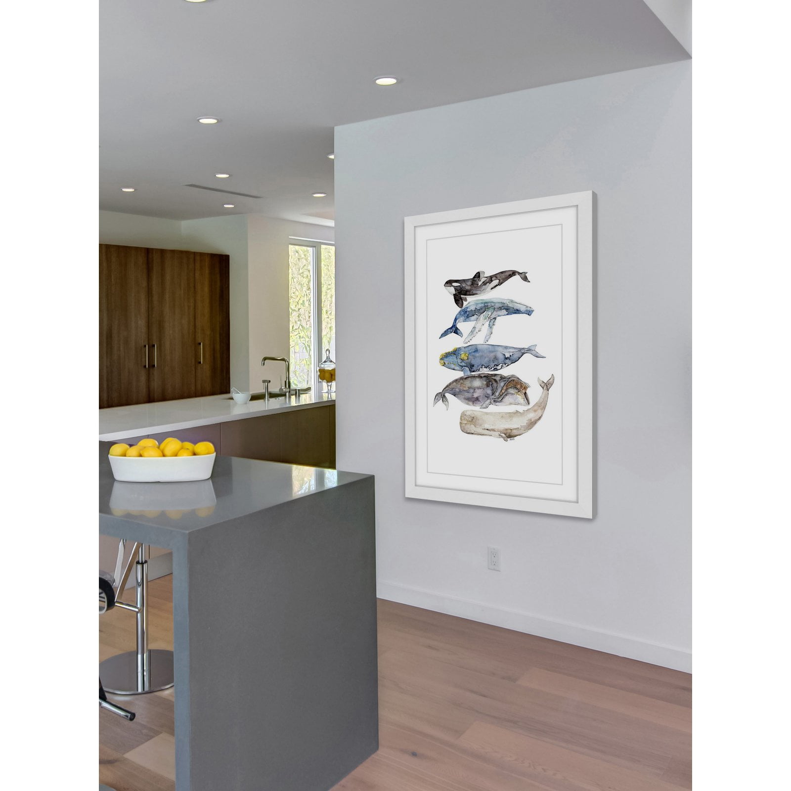 Marmont Hill "Whale Species" by Rachel Byler Framed Painting Print