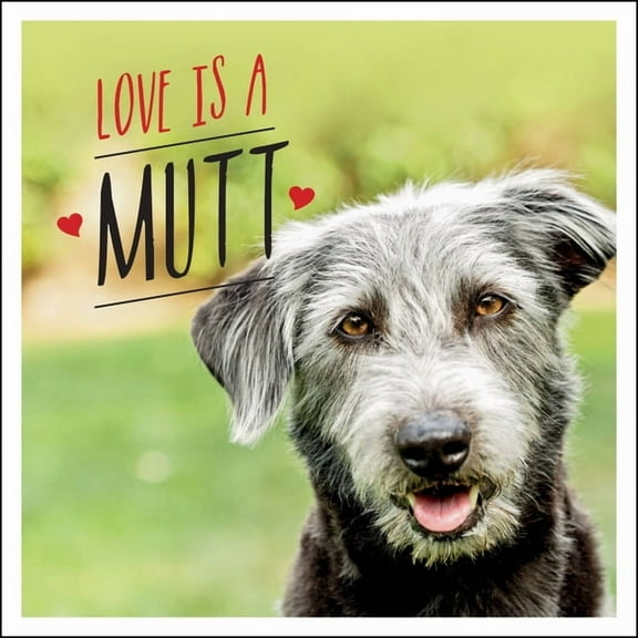 Love is a Mutt : A Dog-tastic Celebration of the World's Cutest Mixed and Cross Breeds (Hardcover)