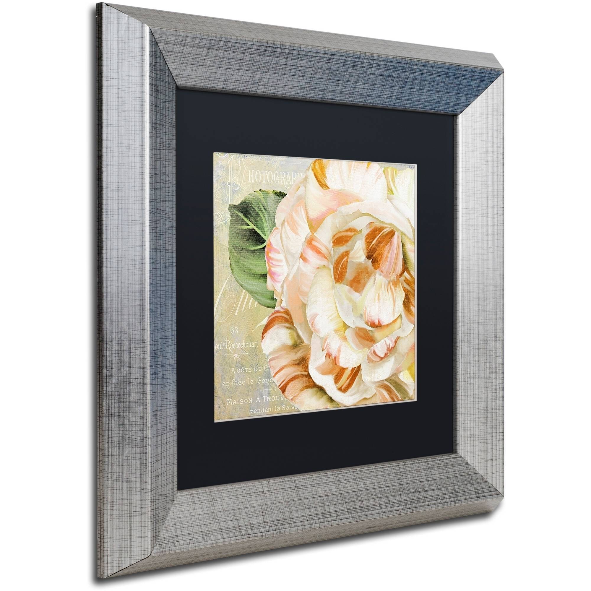 Trademark Fine Art "Camellias I" Canvas Art by Color Bakery Black Matte, Silver Frame