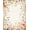 Beige Blush, Pattern 17, variant on ODIKA Beige Vintage Farmhouse Botanical Scroll Border Pile Playroom Stain Resistant Low Profile for Dorm Room, Small Living Apartment