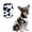 Black & White, variant on Pet Dog Fleece Vest Jacket, Warm Soft Puppy Pullover Sweater for Small Dogs and Cats, Cold Weather Attire with Leash Ring, XS-XL