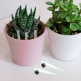 thumbnail image 4 of MLINS 50Pcs Clear Plastic Flower Vials Pointed Floral Water Tubes for Fresh Flowers Reusable, 4 of 8