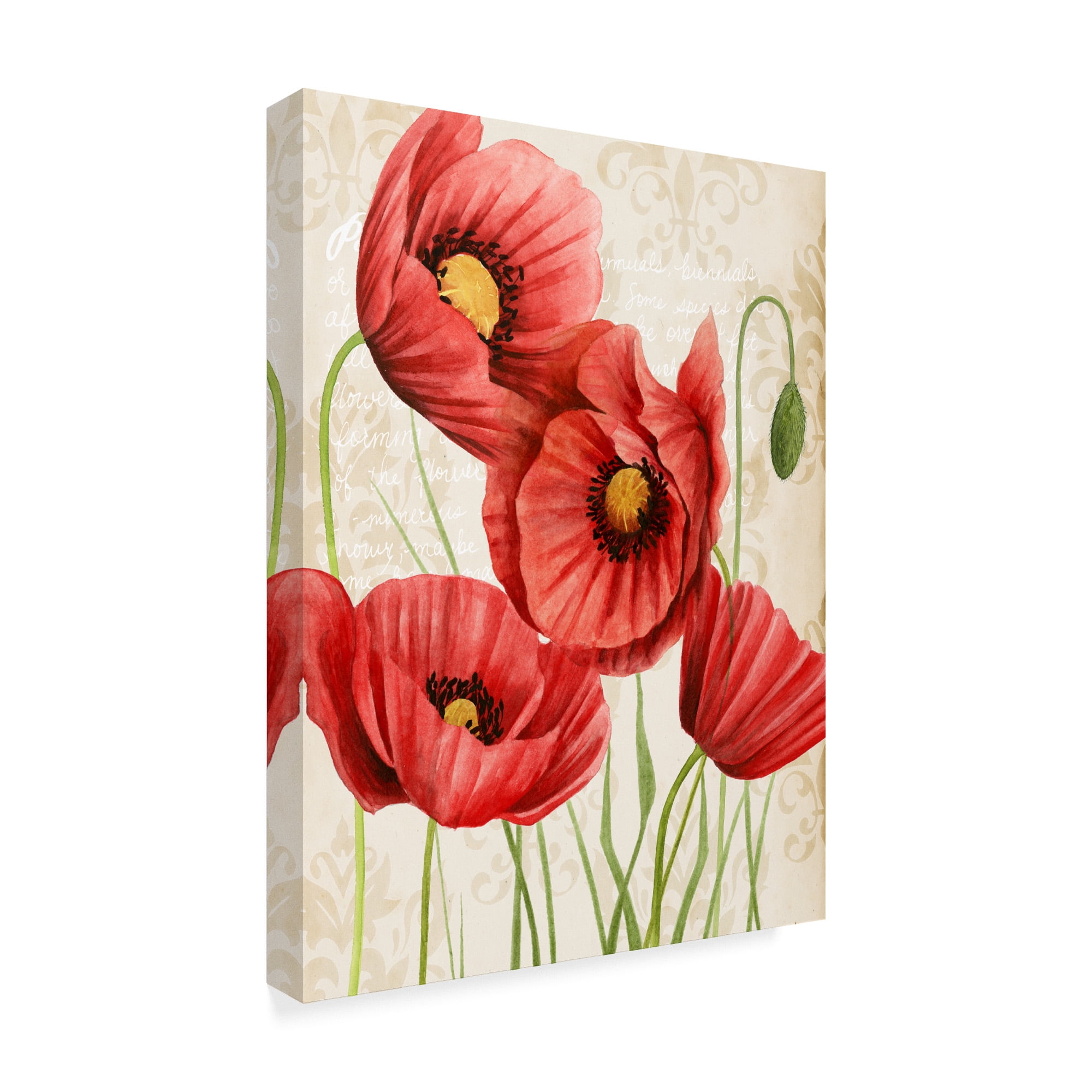 Trademark Fine Art 'Poised Poppy II' Canvas Art by Grace Popp