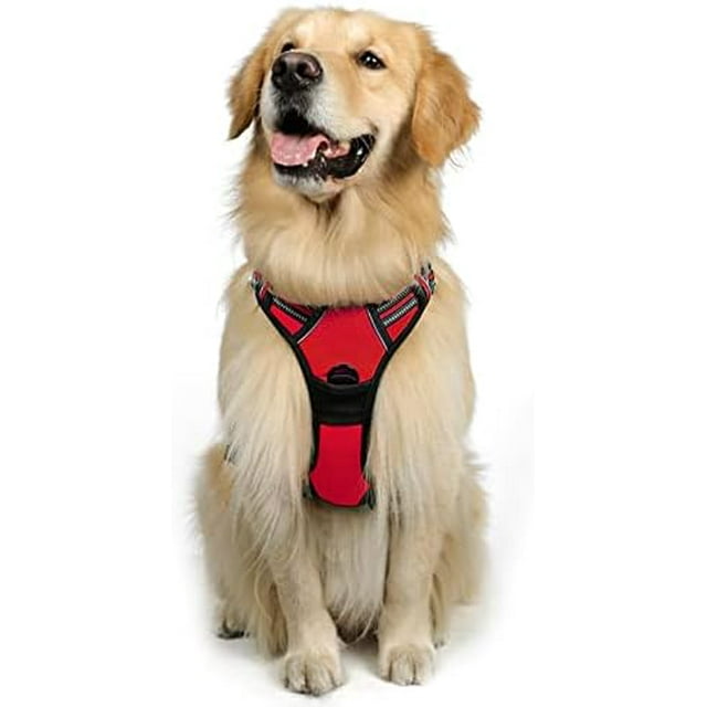 rabbitgoo Harnais pour Chien Harnais Anti-Traction avec 2 Pinces à Laisse Gilet Rembourré Réglable Réfléchissant Sans Étranglement Gilet Oxford pour Animaux avec Poignée de Contrôle Facile pour Grands Chiens Turquoise L