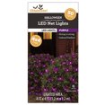 thumbnail image 6 of Purple Net Lights, 50CT, LED, 4ft x 4ft, Halloween Indoor/Outdoor, by Way To Celebrate, 6 of 6
