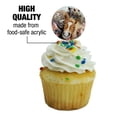 thumbnail image 3 of Horses Selfie Cupcake Picks Toppers Decoration Set of 6, 3 of 7
