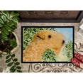 thumbnail image 3 of Carolines Treasures SS8888MAT Lakeland Terrier Doormat 18x27 27"L x 18"W multicolor, 3 of 4