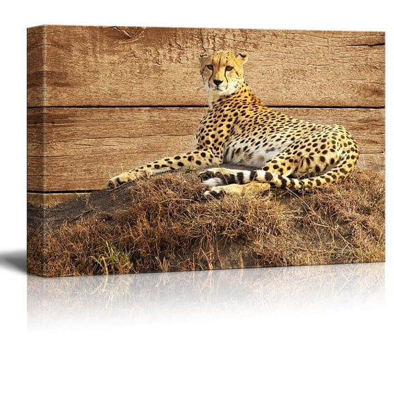 wall26 - Rustic Canvas Wall Art - Lying Leopard - Giclee Print Modern Wall Art | Stretched Gallery Wrap Ready to Hang Home Decoration - 12x18 inches