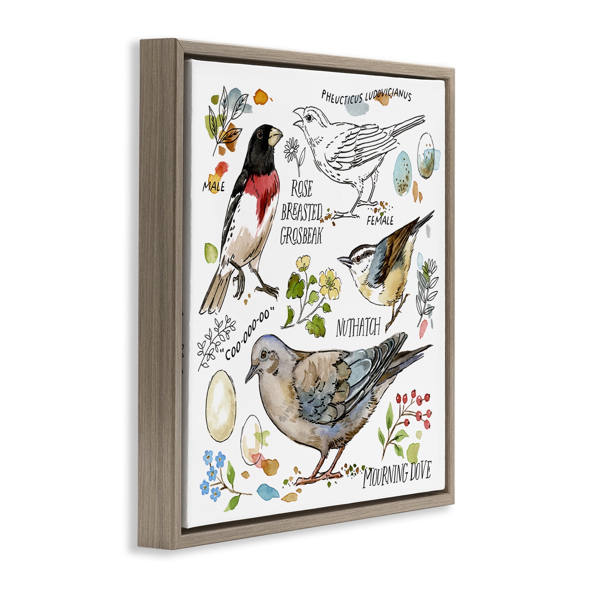 Stupell Industries Bird Watching Diagram Animals Painting Brown Floater Framed Canvas Art Print Wall Art, 18 x 18