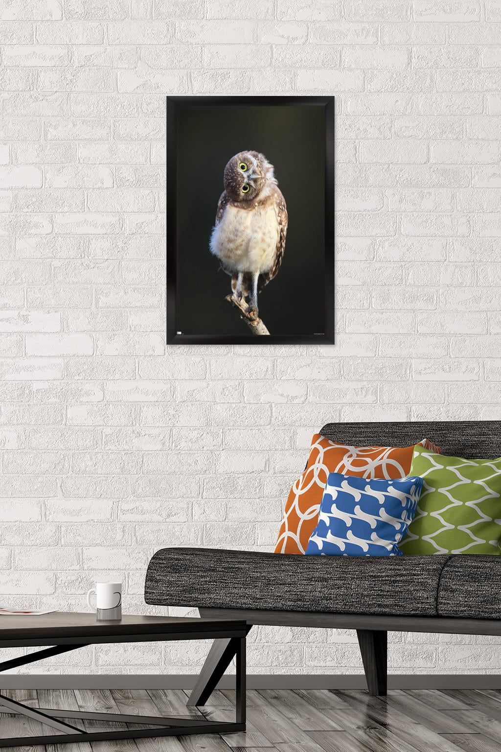 Curious Burrowing Owlet Wall Poster, 14.725" x 22.375" Framed