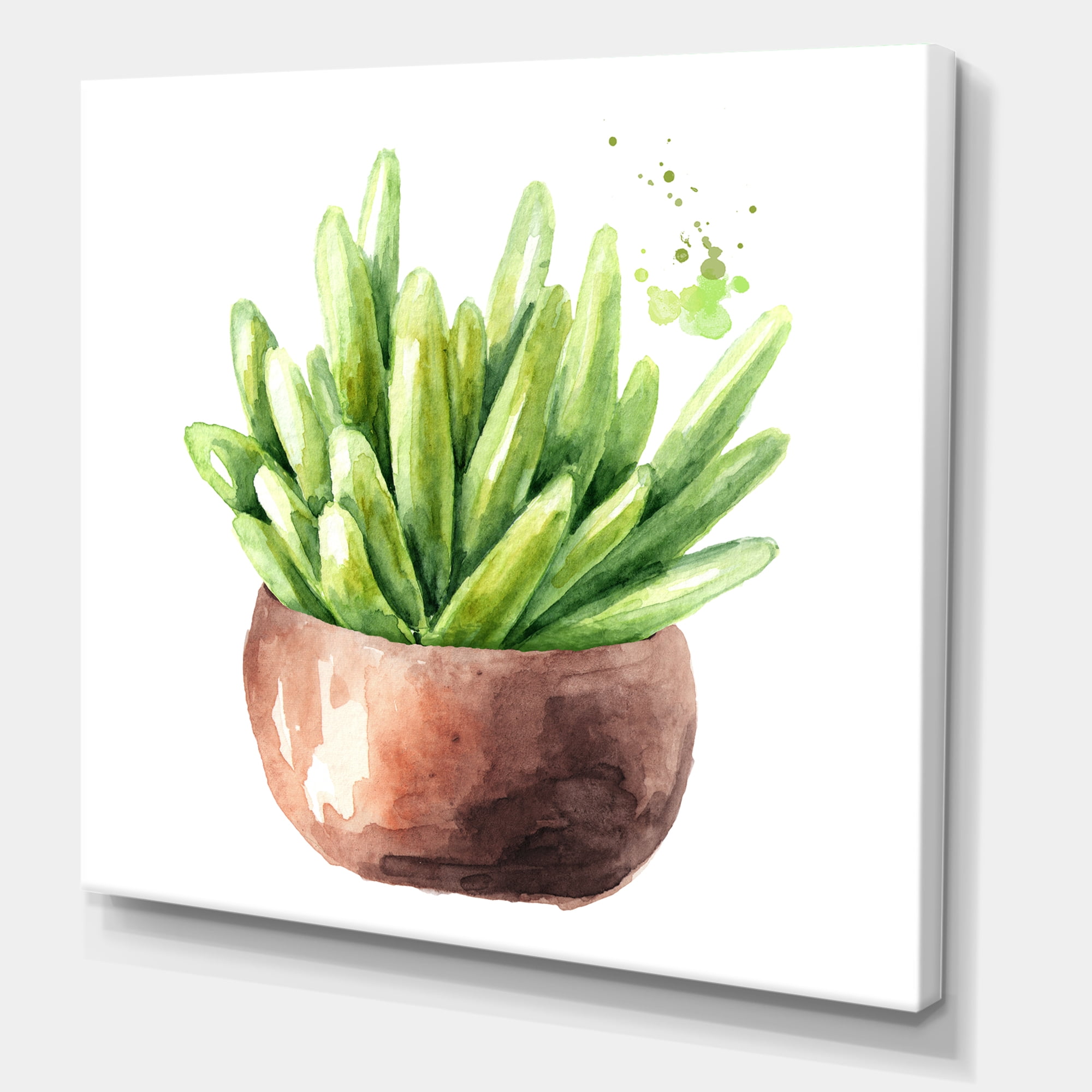 Succulent Flower In Terracotta Clay pot I 36 in x 36 in Painting Canvas Art Print, by Designart