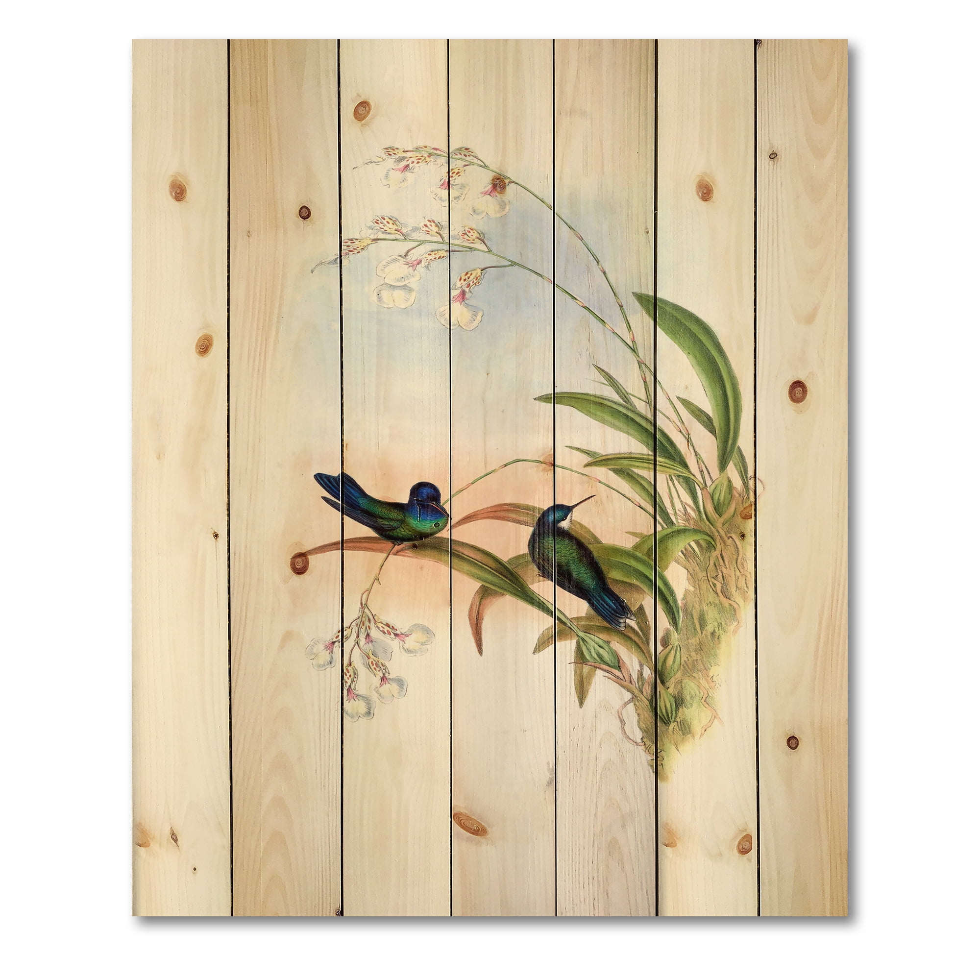 Designart 'Ancient Hummingbird III' Traditional Print on Natural Pine Wood