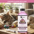 thumbnail image 6 of Petivo Dewormer for Cats Liquid – Chicken Flavor Cat Dewormer for Cats & Kittens – Oral Formula with Syringe – Tapeworm Care Support – 2 oz (60 ml), 6 of 9