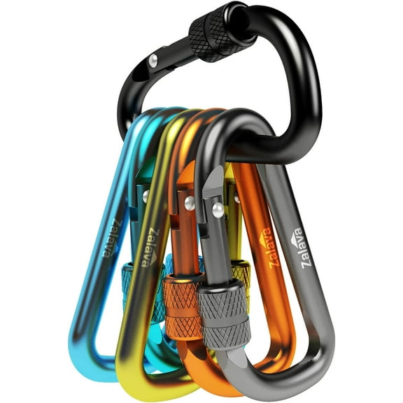 6pcs 2”D-Clip Durable Locking Carabiner Keychain Clip with Hook