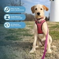 thumbnail image 2 of Arnés Best Pet Supplies, malla reflectante para todo clima, fucsia, 2 of 7